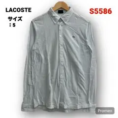 即購入OK】LACOSTE 鹿の子 ストライプシャツ サイズ5 ブルー×ホワイト