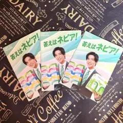 【匿名配送】　ネピア 目黒蓮さん リーフレット　フライヤー