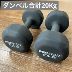 【トレーニング用】PROIRON 10キロダンベル×2