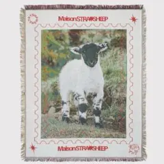 MAISONSTRAYSHEEP STRAYSHEEP RUG