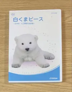 白くまピース～日本初・人工哺育の全記録～
