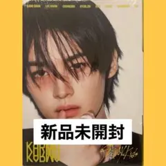 Stray Kids KARMA ACCORDION VER. スキズ　リノ