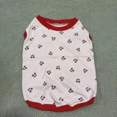 Item thumbnail for item 4203d01f-5c60-4d27-b749-697811224b5c