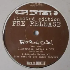 Fat Boy Slim Palookaville 2枚組LPレコード Fat Boy Slim Palookaville 2枚組LPレコード