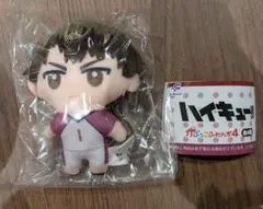 ハイキュー 牛島若利 かぷっこふれんず4 ぬいぐるみ