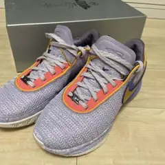 Nike Lebron 20 26.0cm レブロン