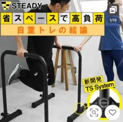 ディップススタンド 支柱 耐荷重150kg ディップスバー STEADY