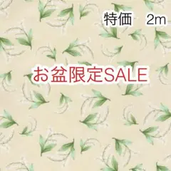 お盆限定SALE 2m スズラン クリーム オックス