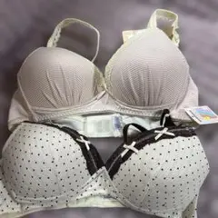 Lサイズ ストライプ・ドットブラジャー
