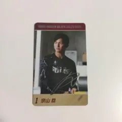 宗山塁　トレーディングカード　レア