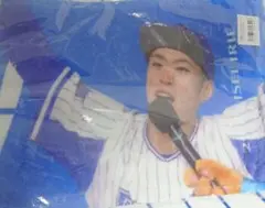 入江大生投手　OK愛してるよヨコハマー！　タオル