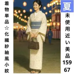 【未使用近い・美品】洗える紗紬風サマーウール小紋 裄丈長め　着物単品