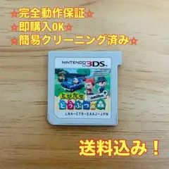 とびだせ どうぶつの森 amiibo+ 3DS
