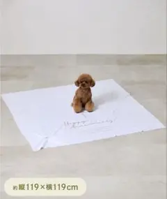 Item thumbnail for item d1b6fc59-33c0-4f8d-a5d9-6cde41603755