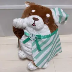 忠犬もちしば 一緒におやすみ BIGぬいぐるみ 5周年
