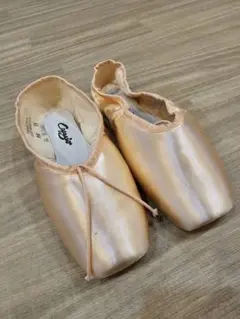 ＊未使用　Capezio トゥシューズ 【コンテンポラ】 製造年：2006年製