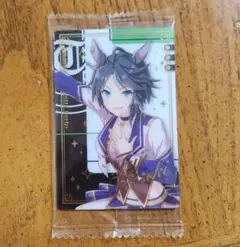 (11) ウマ娘 ウエハースカード フジキセキ