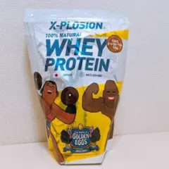 ミルクチョコレート エクスプロージョン 1kg ホエイプロテイン シルバー