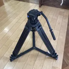 Item thumbnail for item e2f4b230-a3e7-40da-951b-903268eae11e