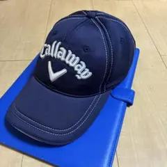 Item thumbnail for item 219f518d-4d16-432f-b9b9-210b8843563b