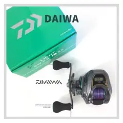 【値下不可】DAIWA ダイワ 20LIGHT SW X IC L SS リール