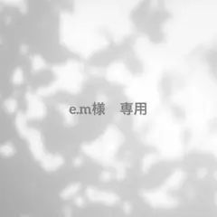 e.m様　専用(8/23発送　サージカルステンレスフック)