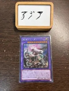 Item thumbnail for item 5b064585-b13d-4d16-b387-3349098be555