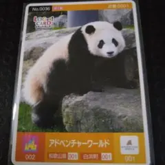 Item thumbnail for item c6a0f4f9-19c0-49c3-9060-cefb8ee54d61