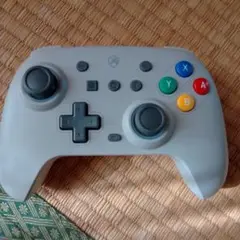 Nintendo Switch グレー コントローラー