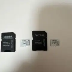 SanDisk microSD カード 256GB High Endurance