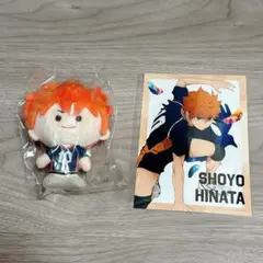 ハイキュー kinokos mini 日向 翔陽