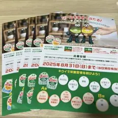 Zespri ゼスプリシール15枚✖️4 ➕2枚　➕おまけ