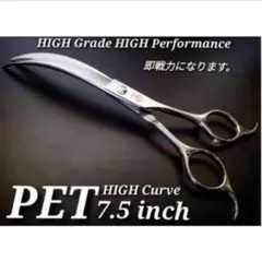 Item thumbnail for item 31d3f0b7-b54e-41a2-9213-8d30948e700d