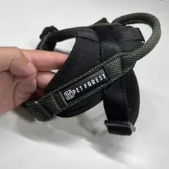 Item thumbnail for item cb01df15-95cb-4788-a2d0-f6828b6a4293