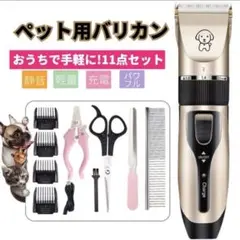 Item thumbnail for item 32c38f92-f1cc-41e0-889b-a487a7589dab