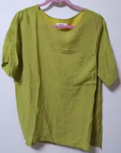 Item thumbnail for item 3399d244-5172-4199-b4da-14e95373b6c4