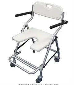 Item thumbnail for item 99281996-13fe-44b5-9949-53b363592cff