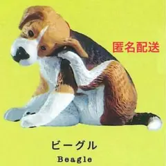 【未開封】カイカイビーグル ガチャ 灰色メロン