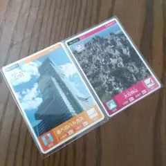 ロゲットカード沖縄 大石林山 、あべのハルカス 計2枚