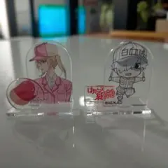 はたらく細胞 アクリルスタンド 2個セット