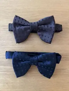 Item thumbnail for item 91a987f3-96b6-4091-b2d0-6f1f0eacf575