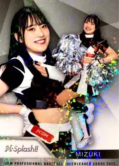 Item thumbnail for item 00d39e58-82b4-42fc-b74a-3b547d75071e