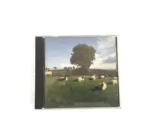 傷あり KLF CHILL OUT レコード 黒vinyl オマケ付き KLF Chill Out LP | eBay