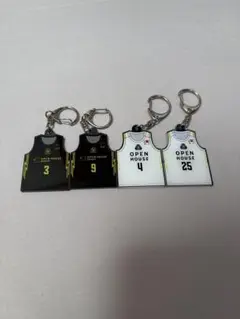 群馬クレインサンダーズ　 バスケットボールキーホルダー 6個セット