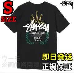 STUSSY WREATH TEE ブラック Sサイズ ステューシー