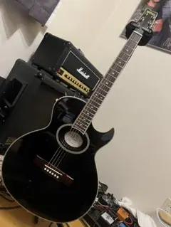 WASHBURN SBF-80 NUNOモデル WASHBURN SBF-80 NUNOモデル - メルカリ
