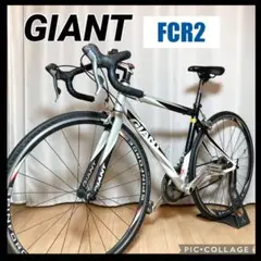 m14498857007_1.jpg?1720012303