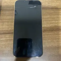 Apple iPhone 13 Pro