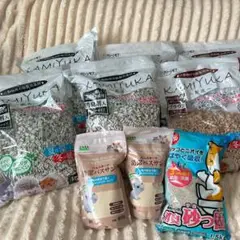 Item thumbnail for item 63087045-a37b-4b99-a869-26354ed7faa1