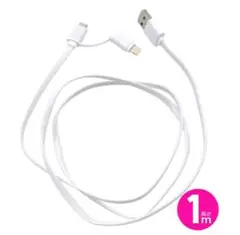 Item thumbnail for item f5803ffd-9eee-4dc5-9ef0-3c181f5ef6db